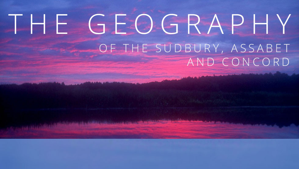 The Sudbury
by Tom Arnold The Sudbury
by Tom Arnold