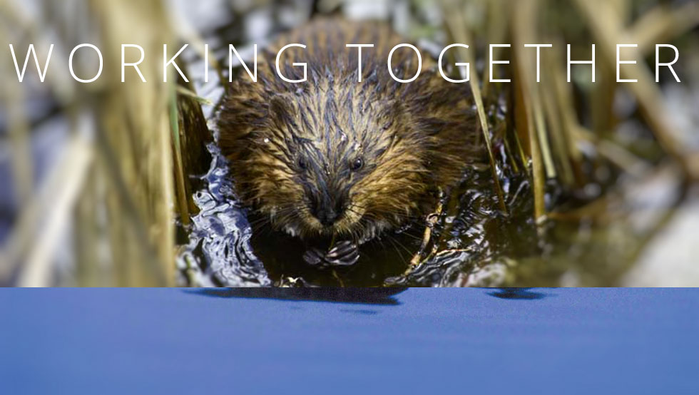 Framingham Enviroscape model
by Krasser Framingham Enviroscape model
by Krasser