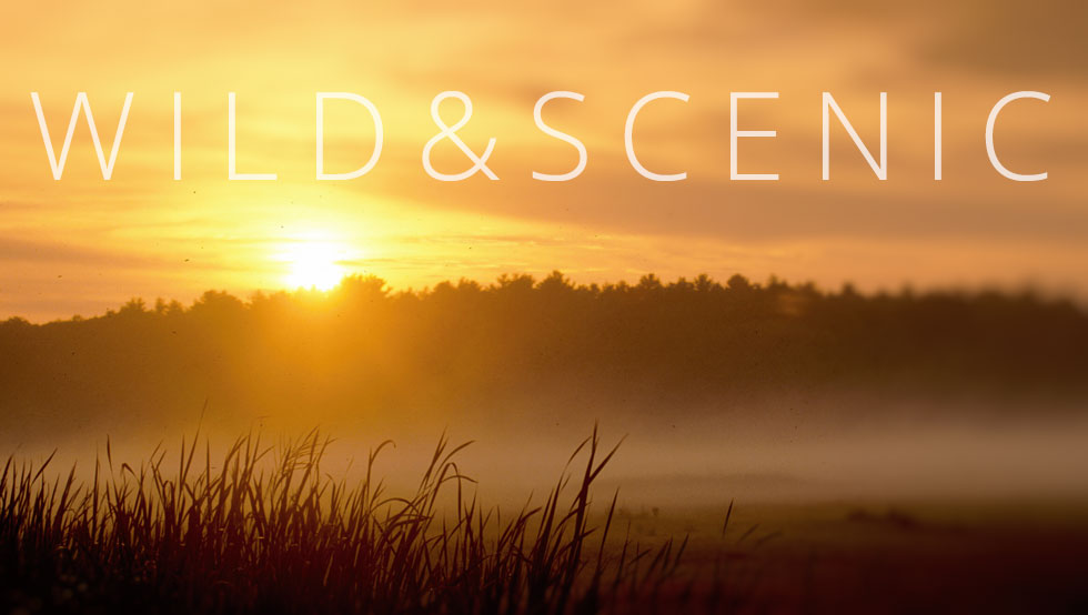 The Glow Of Sunrise
 by Frank Moore
