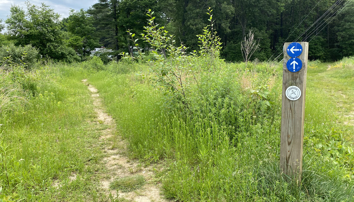 Sudbury Headwaters Walk