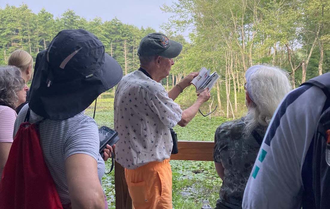 Rail Trail Walk along the Assabet River