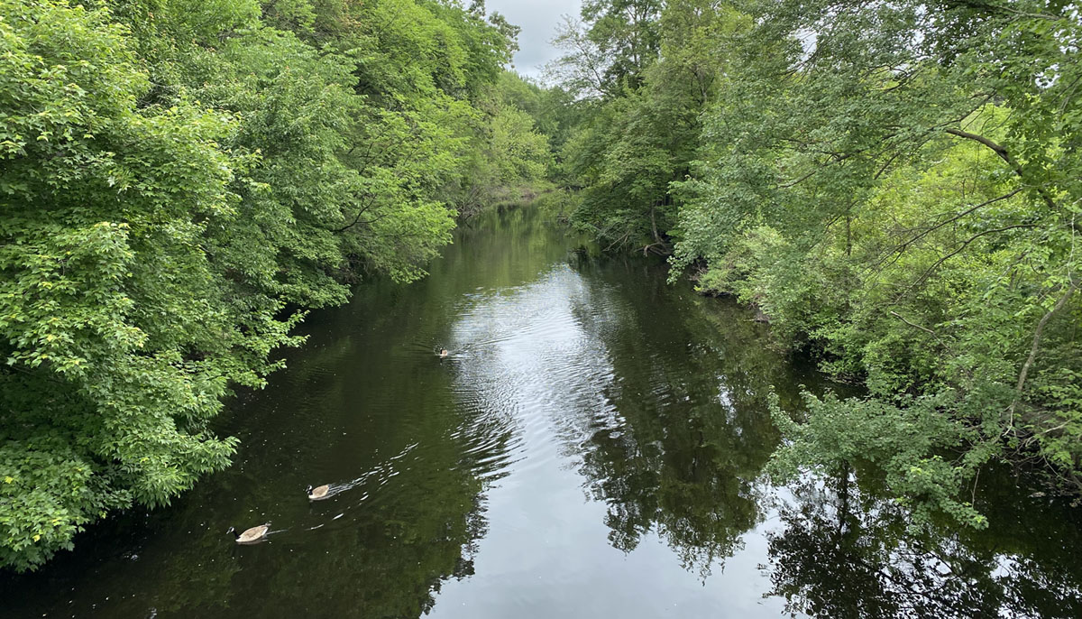 Paddling the Upper Sudbury
